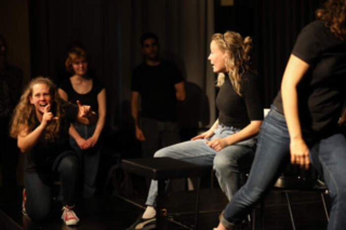 Improtheater Foto3 Bp8 A7721